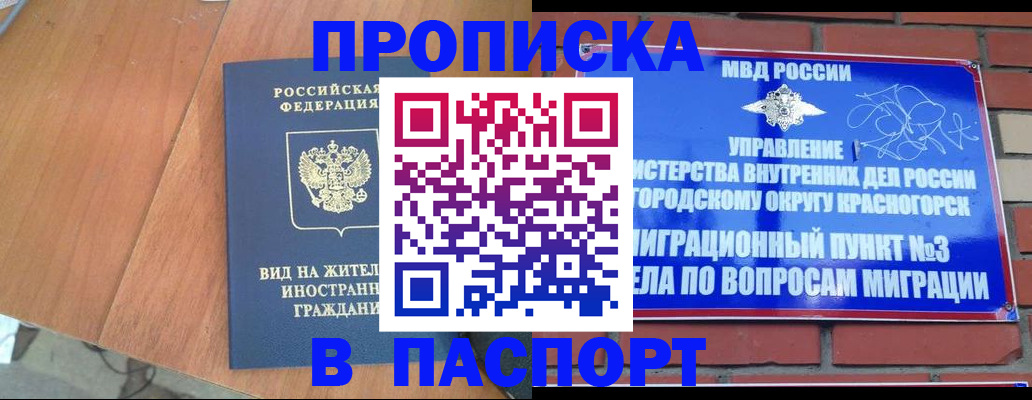 найти адрес прописки в Светогорске